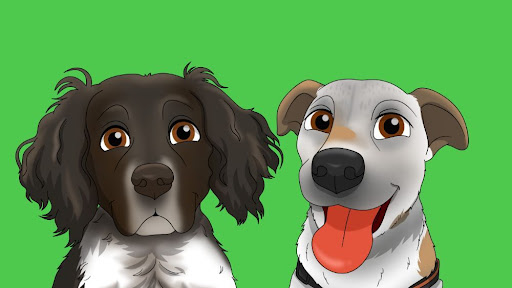 Dynamic duo